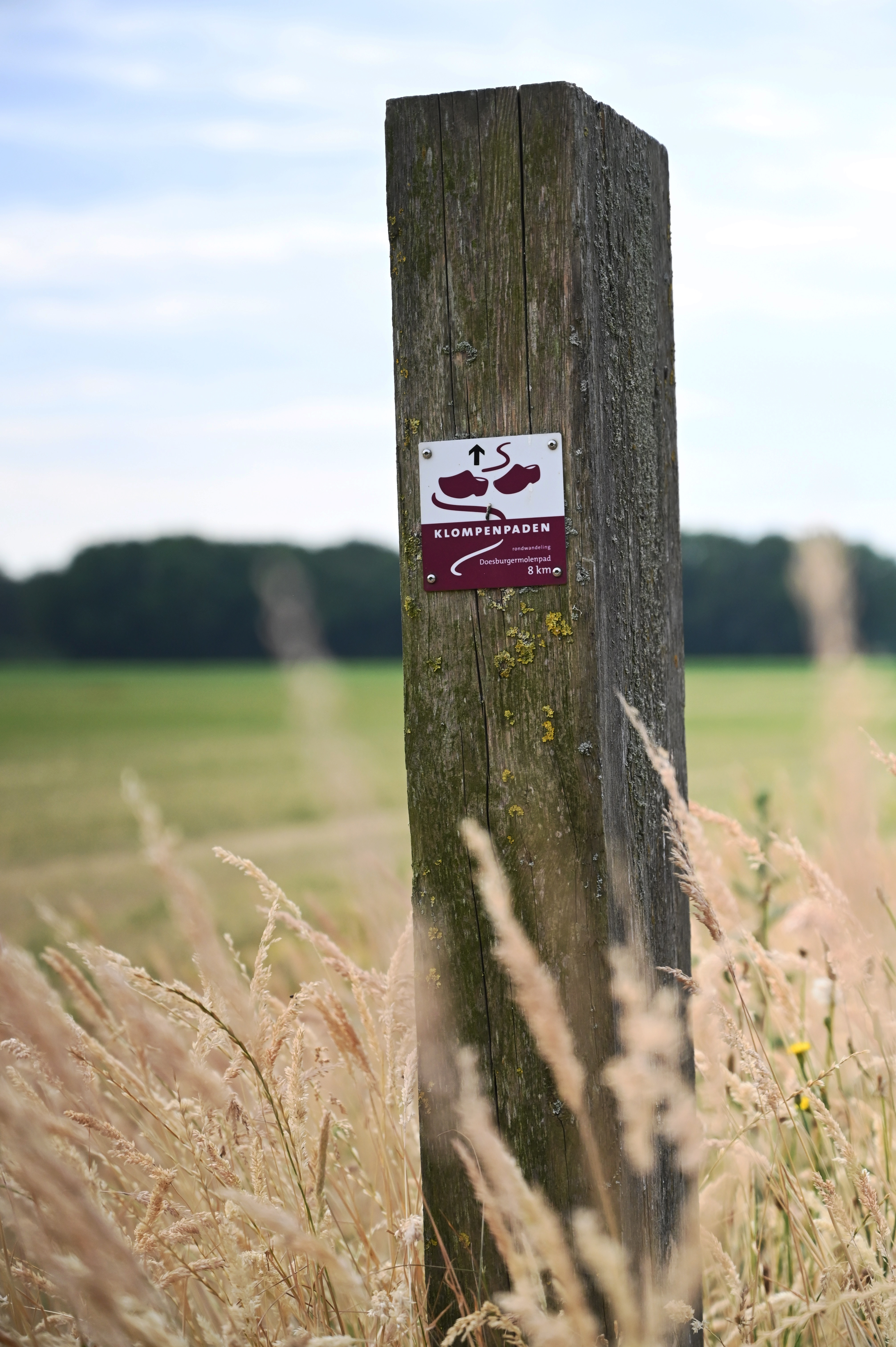 Wandelen over klompenpad Doesburgermolenpad bij Landgoed Zonneoord