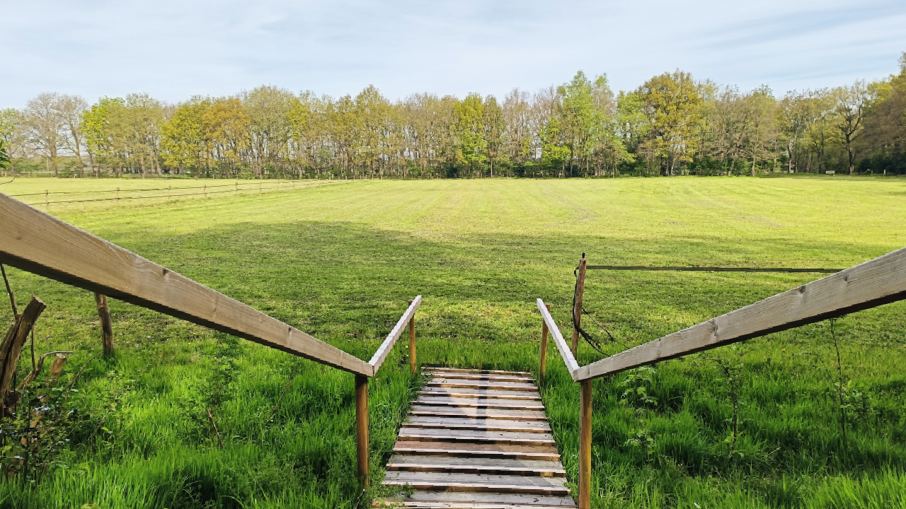 Weids uitzicht over weiland dat soms als evenementlocatie wordt gebruikt op Landgoed Zonneoord