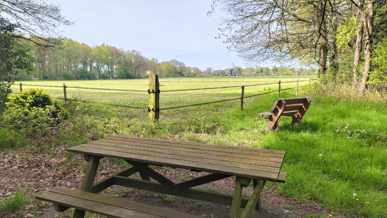 Weids uitzicht vanaf picknickbankje in natuur van landgoed zonneoord