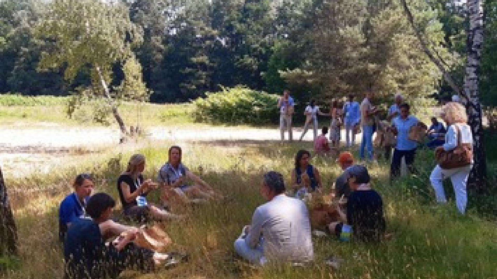 Wandelen met lunch via zonneoord catering in pauze van meeting