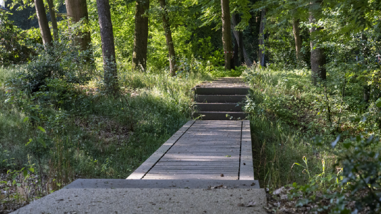 Wandelend buiten vergaderen bij Landgoed Zonneoord