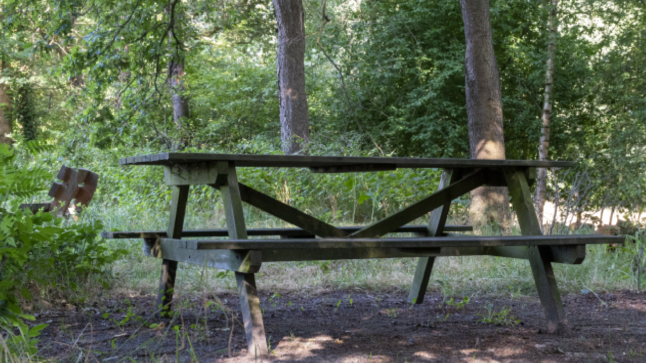 buiten vergaderen bij Landgoed Zonneoord in Ede